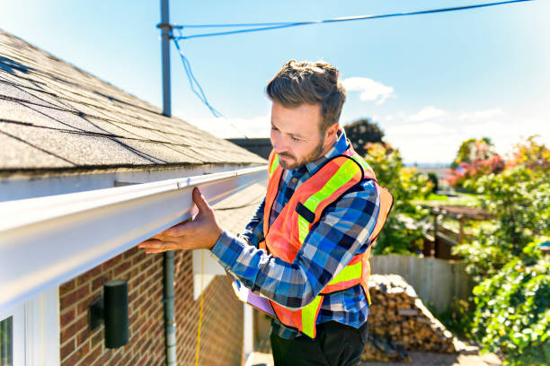 Best Roof Moss and Algae Removal  in Sterling, CO